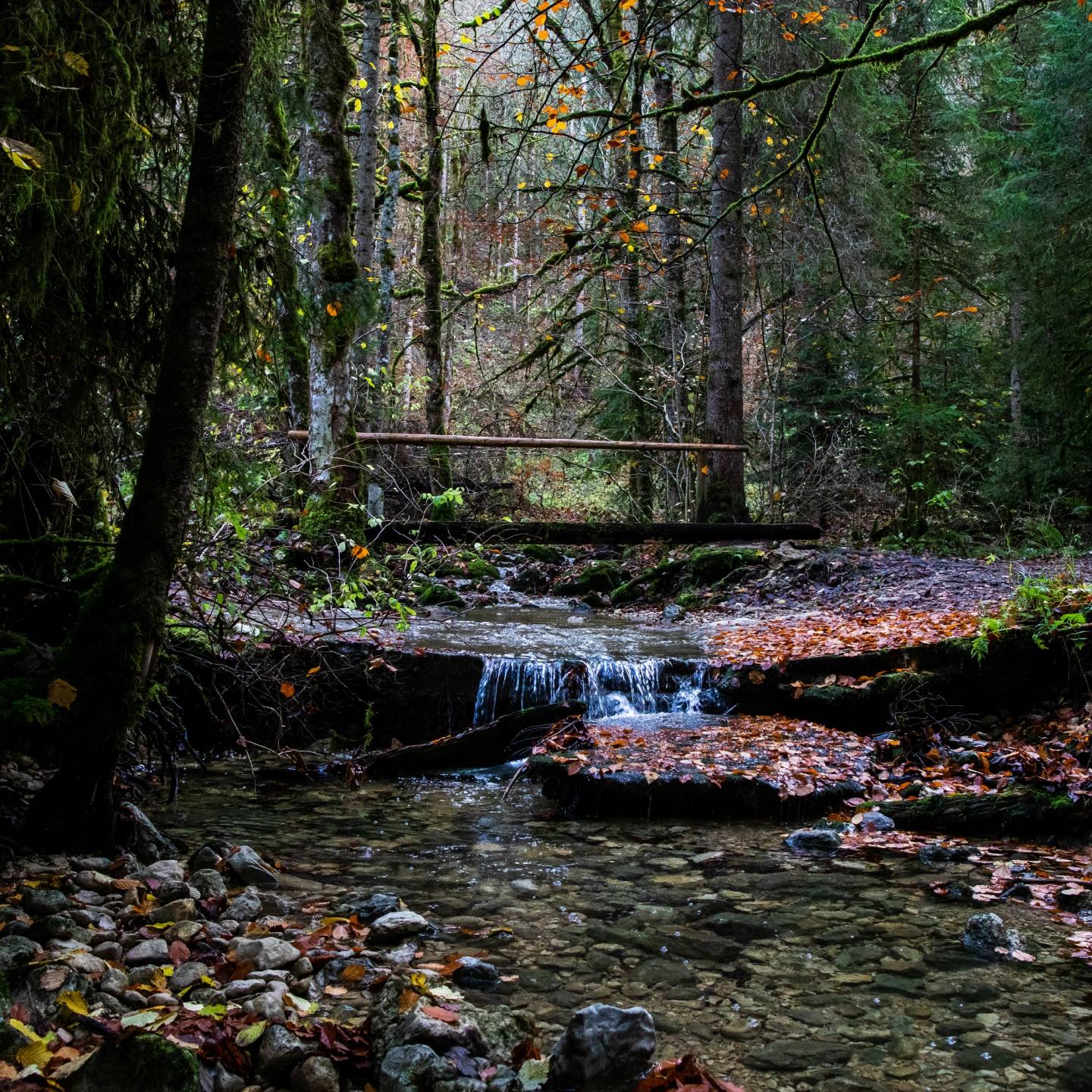 elementterre - du physique aux subtils - corps - ivano scandurra - la chaux-de-fonds - soins - agréé asca - médecine complémentaire - acupressure - médecine orientale - équilibrage - thérapie subtile - soin holistique - énergie vitale - méridiens - chakra - sauge - nettoyage - moxa - moxibustion - armoise